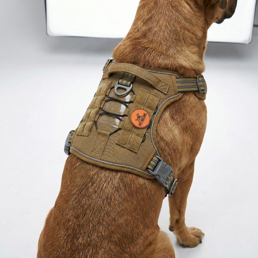 Tactical Recon No Pull Harness