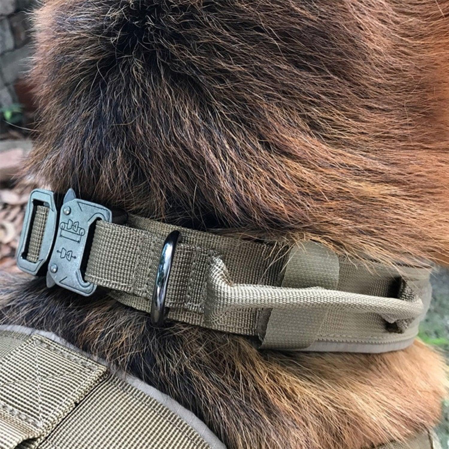Personalized Tactical Collar With Handle - PetBelong