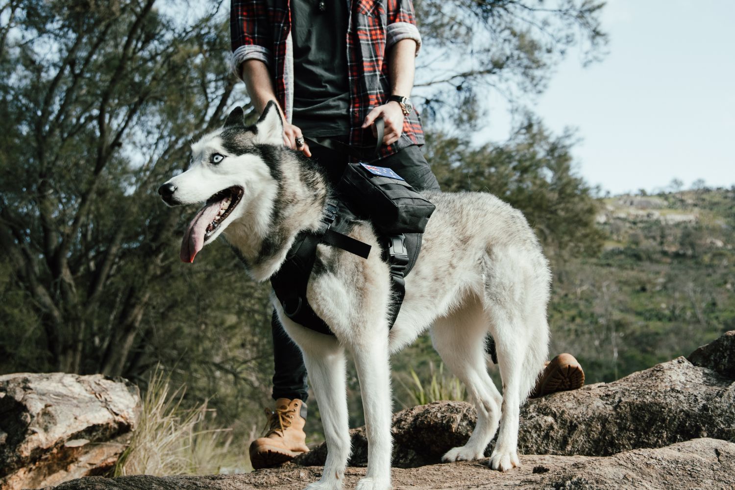 Pet Belong Best Tactical Gears For Dogs, Tactical Dog Harness/Vest