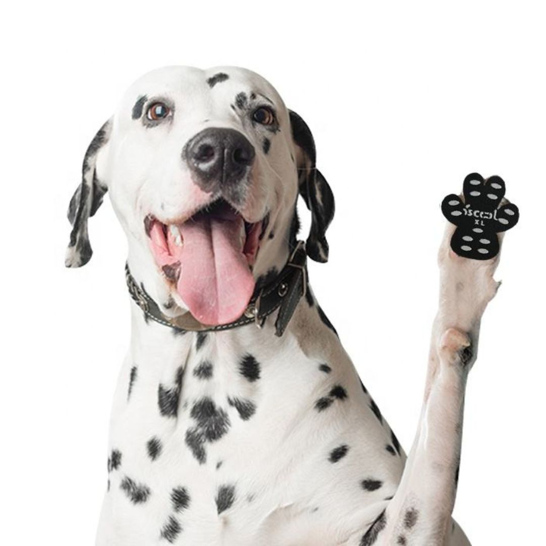 Dog Paw Pad Protectors