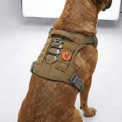 Tactical Recon No Pull Harness