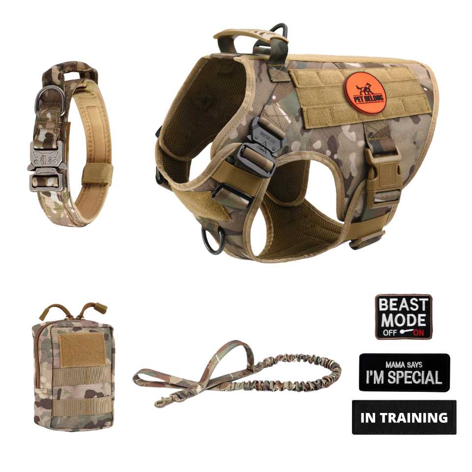 Complete Control System