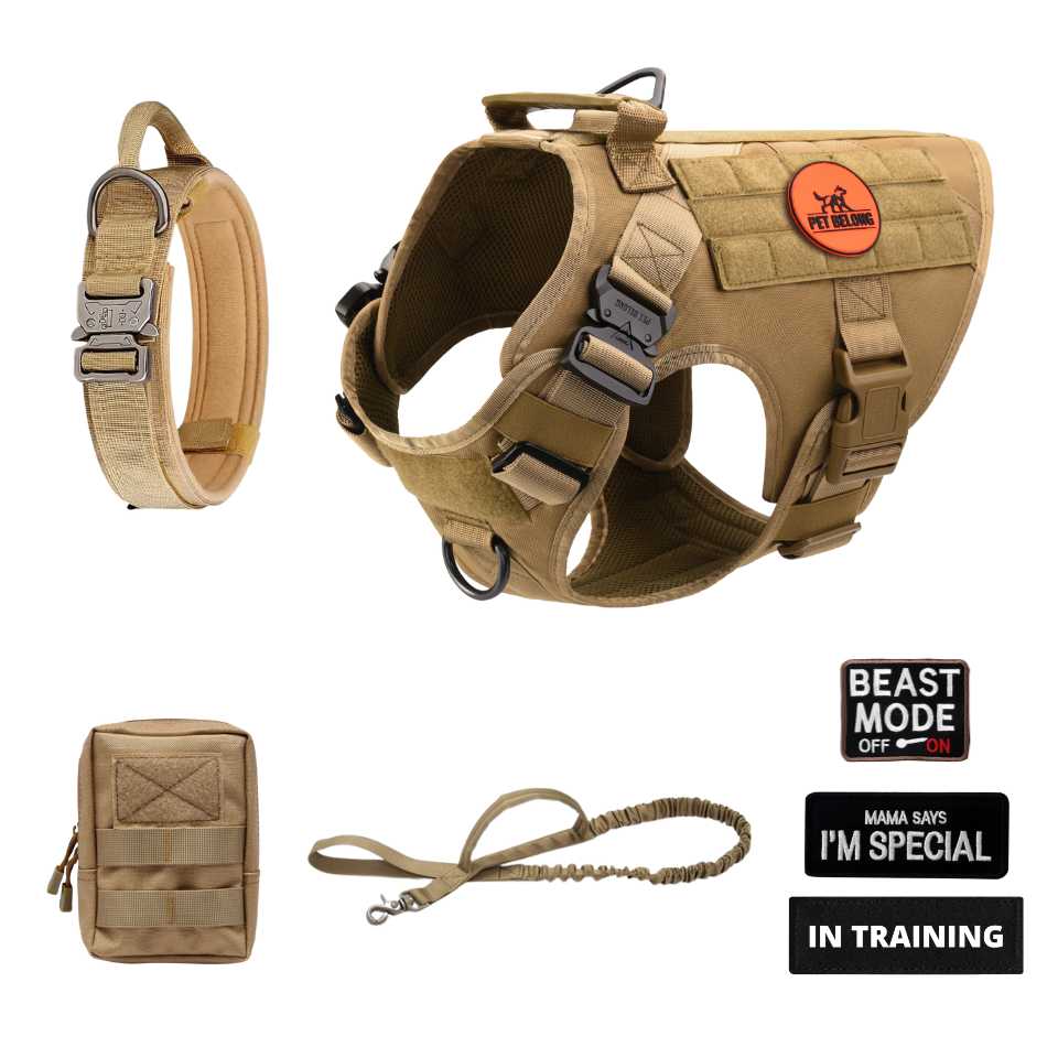 Complete Control System