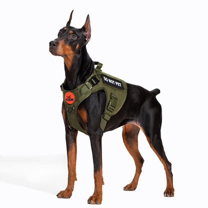 Dog wearing a petbelong  green harness with 'Do Not Pet' text on a white background