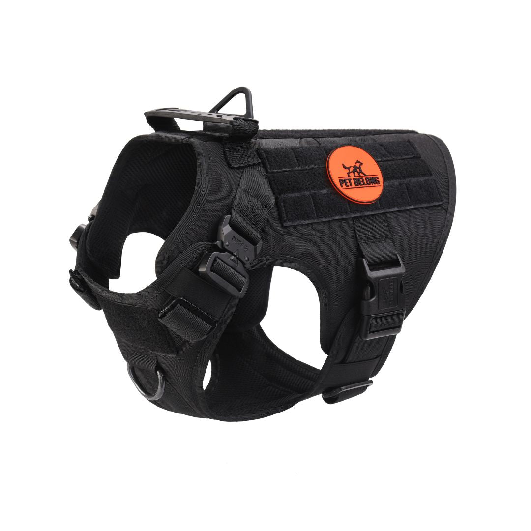 Black dog harness with petbelong logo on a white background
