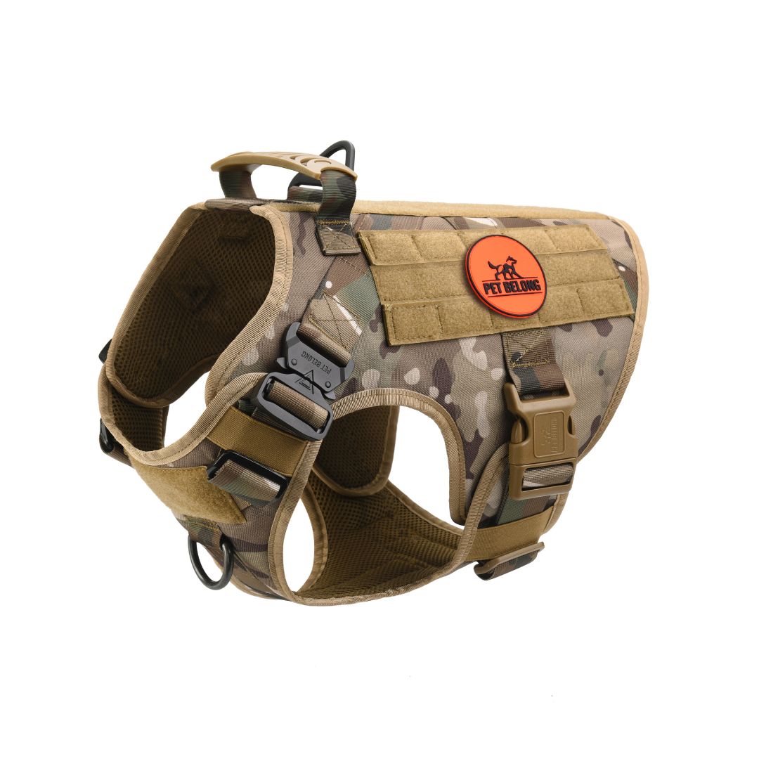 Camouflage dog harness with a visible petbelong logo  logo on a white background