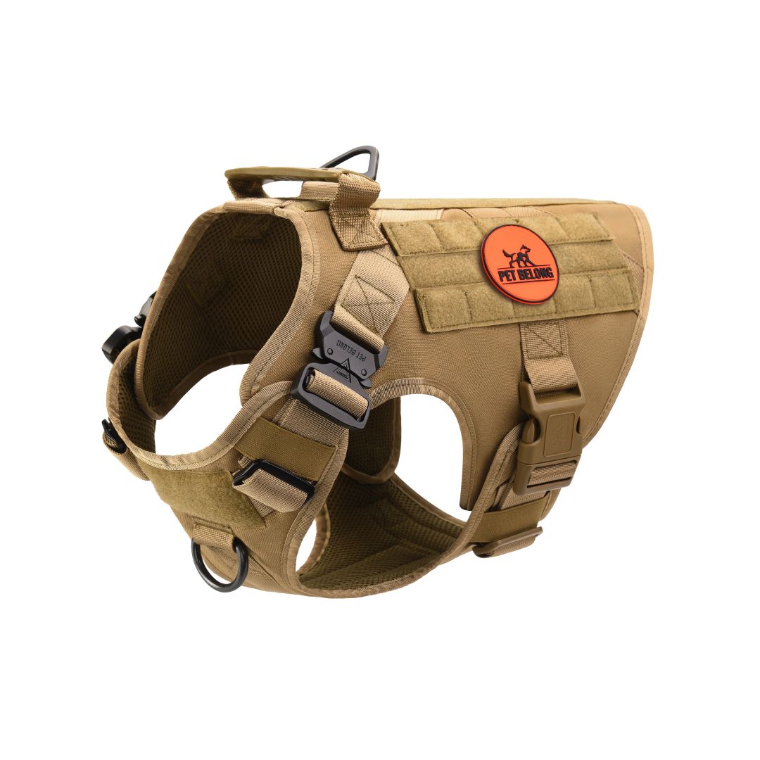 Tan tactical dog harness with a petbelong patch on a white background