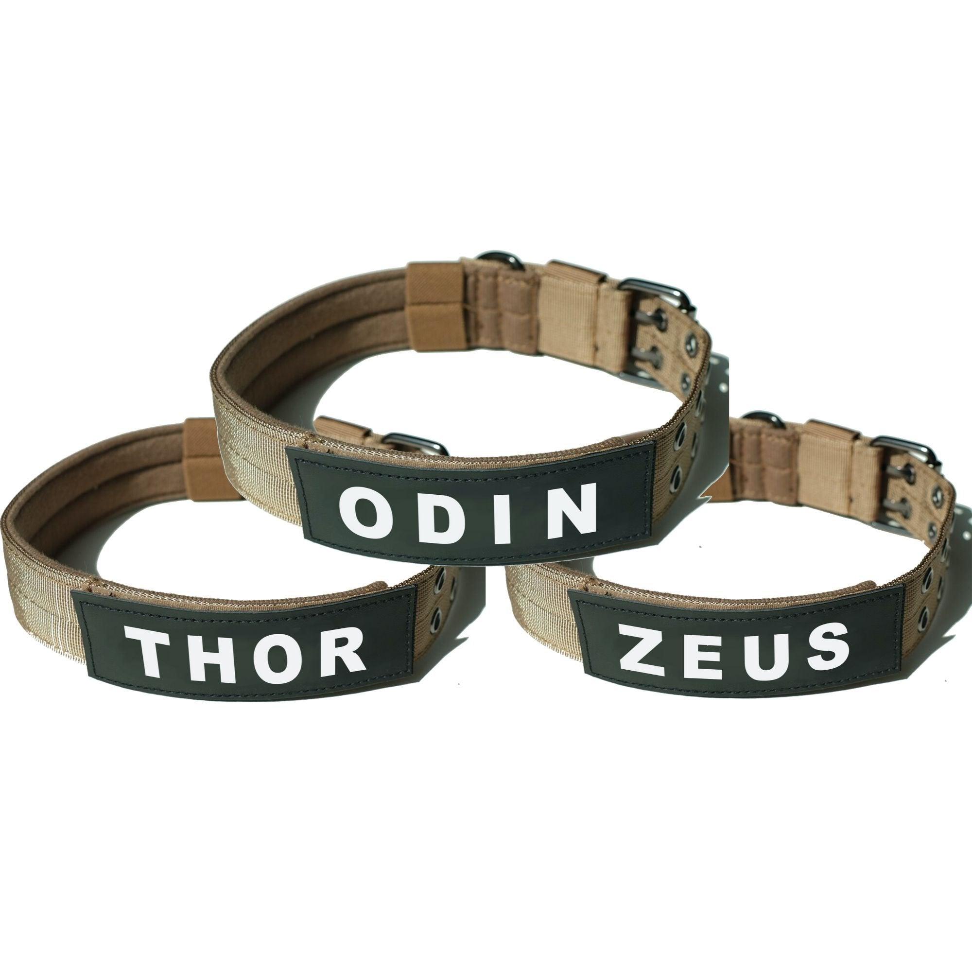 Personalized Tactical Dog Collar - PetBelong