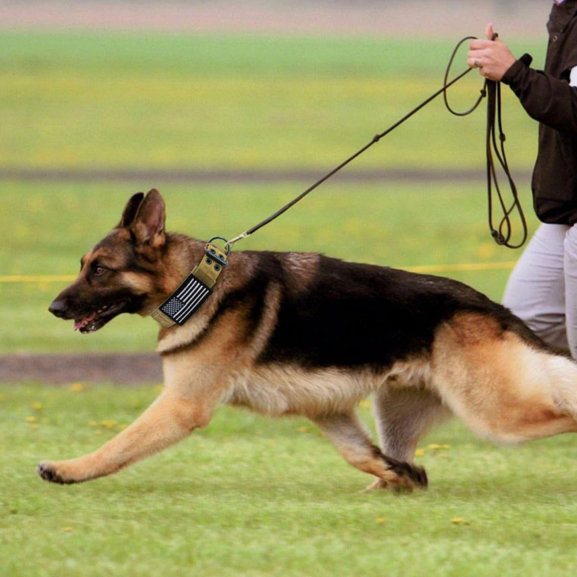 Personalized Tactical Dog Collar - PetBelong