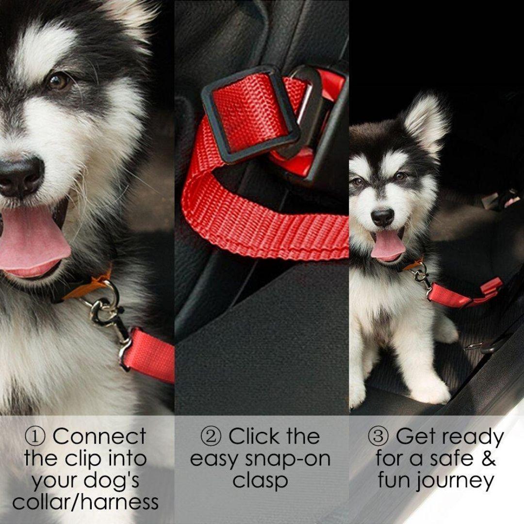 Safety Seat Belt for Dogs - PetBelong
