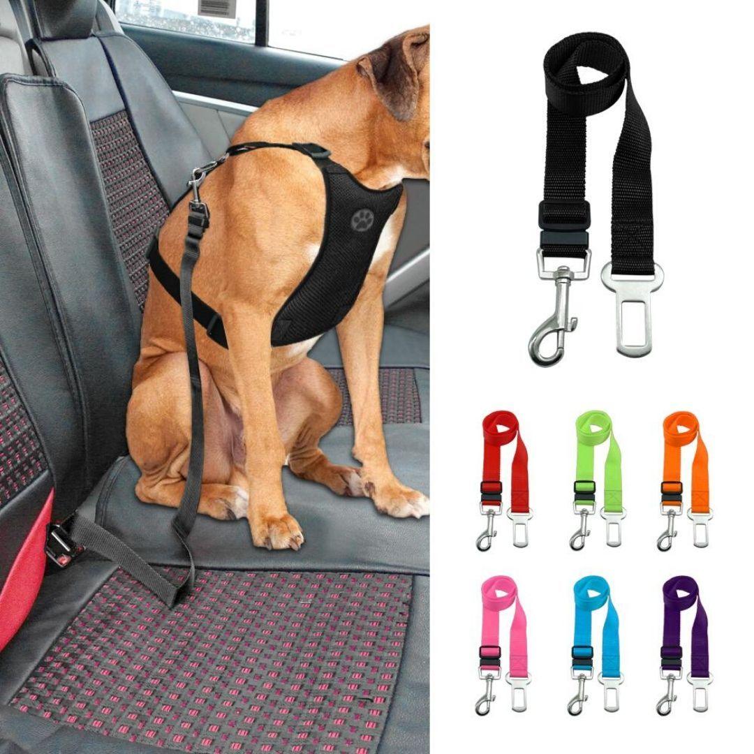 Safety Seat Belt for Dogs - PetBelong